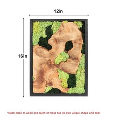NAHARO Natural Preserved Moss Wall Art – 16»*12», Rectangle*3