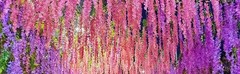 Fake Hanging Flowers – 12 Pieces 3.75 Feet/Piece Artificial Wisteria Vine Ratta