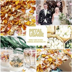 2.5 QT 30 Cups Mix Real Dried White Pink Yellow Rose Flower Petal Confetti