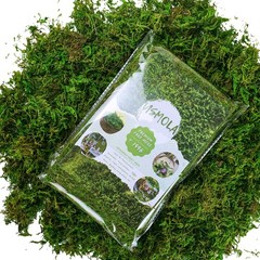 USMOLA Artificial Moss, 16OZ Fake Moss for Crafts Table Centerpieces Fairy Garde