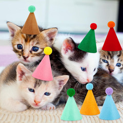 10 Pcs Mini Birthday Party Hats Multicolor Mini, Colorful Non-Woven Fabric
