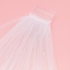 Bride to Be Veil with Pearls Bachelorette Party Bridal Shower Accessory