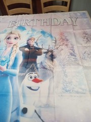 Frozen Happy Birthday Banner Wall Hanger Backdrop 58 X 38.5 Inch Party Supplies