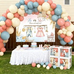 138Pcs Gender Reveal Decorations Kit – Pink & Blue Balloon Garland, Baby Box, Ba