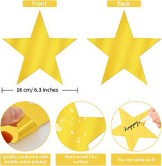 40 Pcs Metallic Star Cutouts Double Printed Paper Stars Decoration for Wedding M