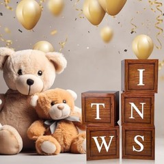 Twins Baby Shower Decorations Baby Boxes with Letters 5pcs Wood Baby Brown