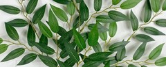 Artificial Italian Ruscus Vines, 3Pcs/75 Silk Vine Garland with Green Leaves,