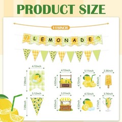 14pcs Lemonade Stand Party Decorations – Banners, Swirls, Paper Fans, Summer The