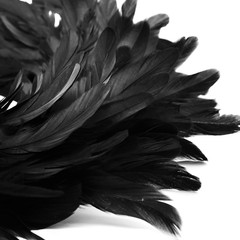 13.5″ Black Natural Feathers Wreath for Halloween Decorations, Spooky Scene Part