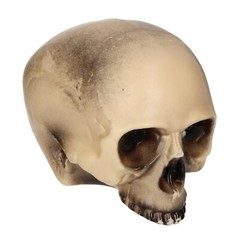 Replica Realistic Human Skull Gothic Halloween Decoration Prop 20cm JAWLESS