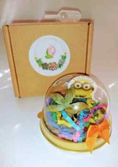 FANTASY MINION PARTY Favor Pods Mini Succulent Terrariums, Birthday Party 6