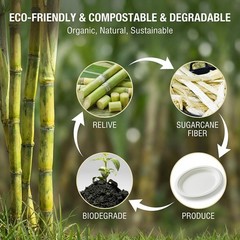 Tinybee 100% Compostable Oval Paper Plates 12 Inch [50-Pack] Heavy Duty Large…