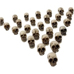 20pcs Mini Skulls Decor Skeleton Head Crafts Mini Skulls Set Garden Decor
