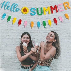 Glitter Hello Summer Banner with Sunflower Signs and Colorful Glittery Popsic…
