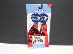 Stars & Stripes Patriotic Streamers Decorations for Bike Party Parade July 4th