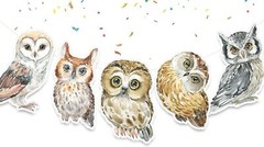 Owl Woodland Animals Birthday Banner Forest Party Supplies Baby Brown