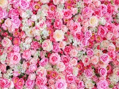 Fresh Floral Wall Backdrop Pink Rose Flower Wedding Party Photo background Decor