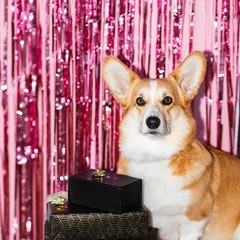 Pink Foil Fringe Backdrop Curtains 3.2×8.2ft Metallic Tinsel 20 Pack