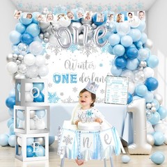 Winter Onederland Birthday Standard Banner Size, Light Blue, White, Silver