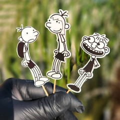 Diary wimpy kid Party Supplies happy birthday centerpiece decoration balloons