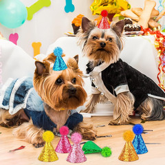Hxezoc 10 Pcs Glitter Mini Birthday Party Hats Multicolor Paper Cone Hats for Ki