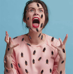 10/30/50X Halloween Fake Plastic Cockroaches Toy Joke Creepy Toy Decor Prop US