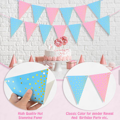 2 Pack Gender Reveal Bunting Blue & Pink Banner for Gender Reveal Party Suppl…