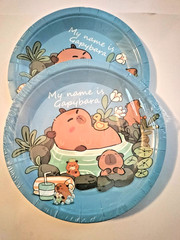 Capybara Birthday Tableware Decorations, 10pack plates, 20pack napkins Animal