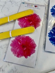 Target Tissue Pom Poms – Blue, Pink, Yellow, Orange, Teal, Burgundy