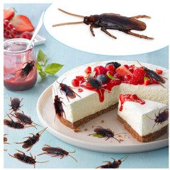 Prank Realistic Rubber Fake Cockroaches Creepy Cock Roach Bugs Gag For Kid 80pcs