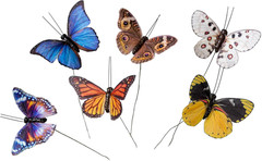 -Feather Fake Butterfly for Craft Decoration Set of 12 with Wire B B