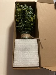 Artificial Sage Green Eucalyptus Stems in Glass Vase with Faux Water (12”) M5