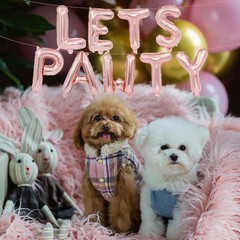 16 Inches LET’S PAWTY Letter Balloons Banner – Mylar Foil Alphabet Balloons S…