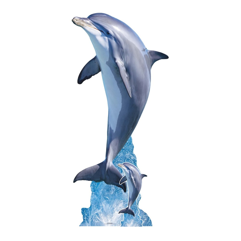 Dolphin Leaping Cardboard Cutout with Free Mini Standee – Ocean Fish Theme