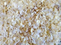White Cream Ivory Wedding Confetti Biodegradable Eco Environmentally Friendly Ti