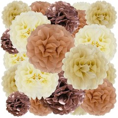 20 PCS Tissue Paper Pom Poms Set Mixed Colors Flowers Decor 6/10/12/14 Inch