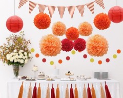 33pcs Party Decorations Supplies Set, Lanterns Tissue Pom Poms Flowers Tassel…