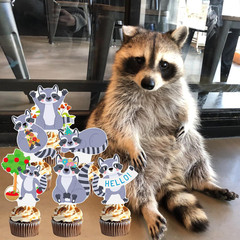 48Pcs Raccoon Theme Cupcake Toppers Woodland Animal Birthday Party Decorations C