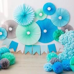 14inch Tissue Paper Pom Poms 12PCS Pom Poms Paper Flowers Ball Tissue Paper F…