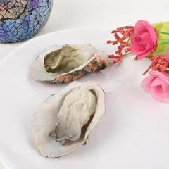 Artificial Oysters, 6 Pcs Simulate Fake Realistic Oyster Models for Home Kitc…