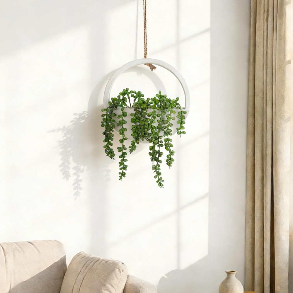 7.9 inches (W) x (H) x 0.8 (D), 1 Pcs Green Succulents