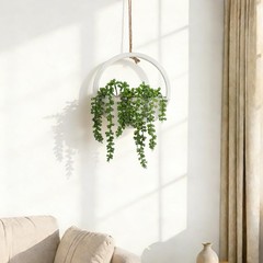 7.9 inches (W) x (H) x 0.8 (D), 1 Pcs Green Succulents