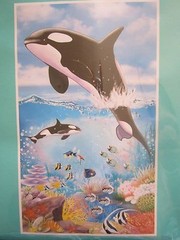 Dolphins LUAU Tropical Blue Ocean 42″x72″ Wall/Door Mural Decoration BRAND NEW