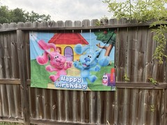 Blues clues Birthday Supplies