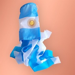 Argentina flag birthday party decoration soccer sports decor set of 4