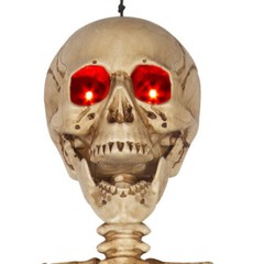 5 ft Poseable Human Size Decayed Skeleton Skull w/LED Eyes Halloween Decor Props