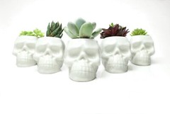5x Gothic Human Skull Flower Pot Home Garden Succulent Plant Halloween Planter