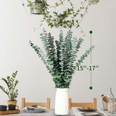 16 Pcs Dried Eucalyptus Stems, 17» Natural Fresh 15-17 inches, Green