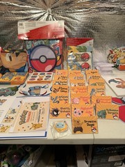 Custom Pokémon Birthday Themed Decorations With Two Games For Guests