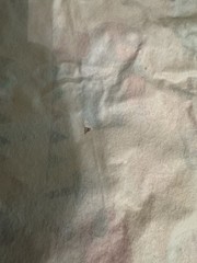 2- Retro Camping RV Tablecloths, Flannel Back